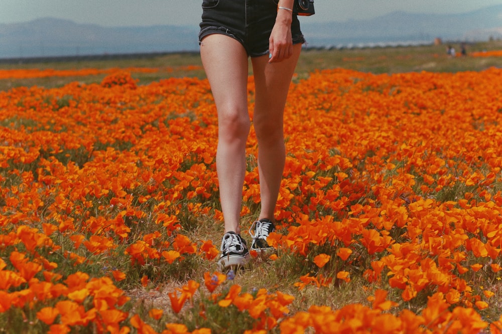 mulher em shorts pretos e tênis brancos em pé no campo de flores vermelhas durante o dia