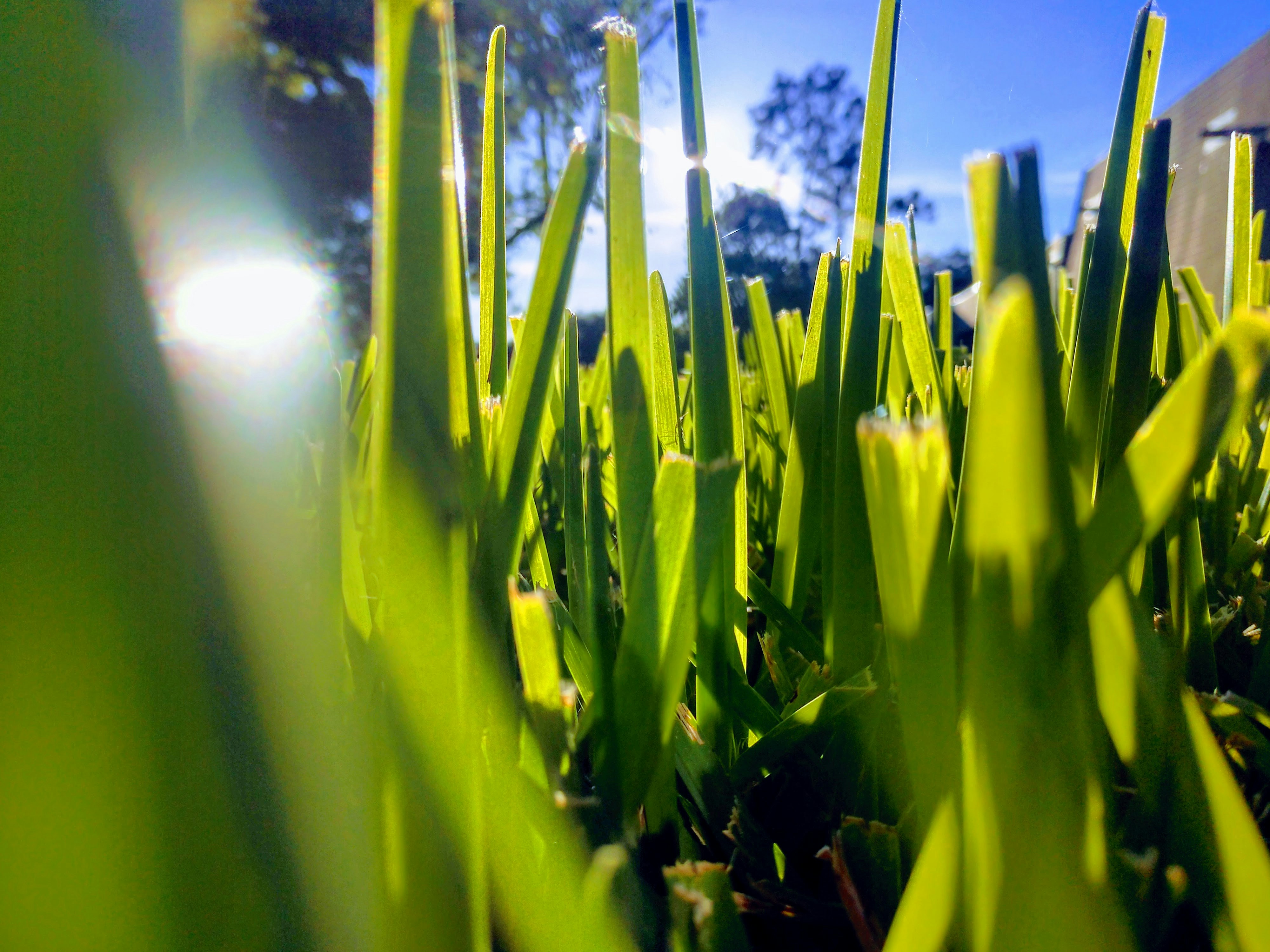 Photo by solitsocial