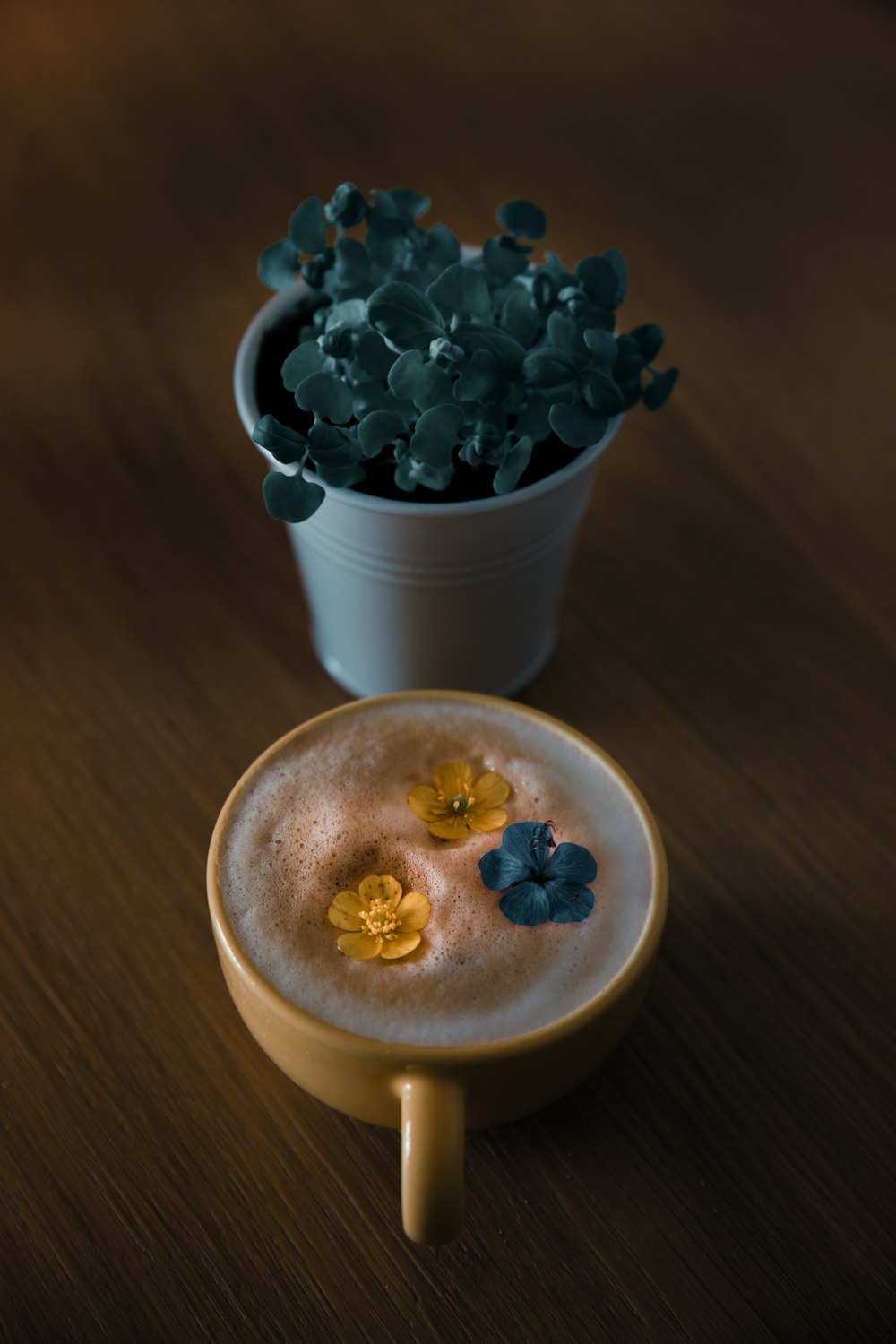 white ceramic bowl with blue berries