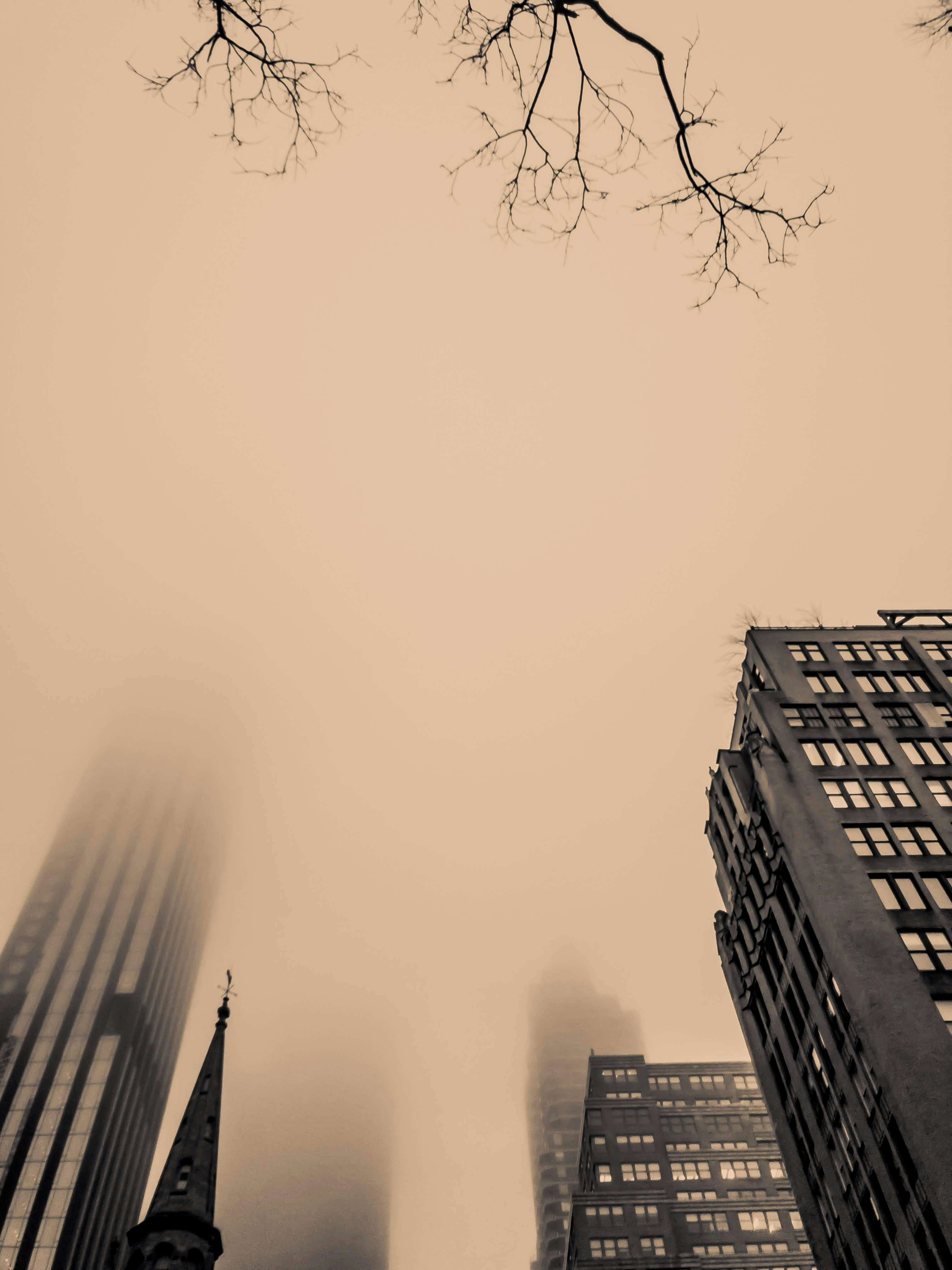 Photo by kirangurung