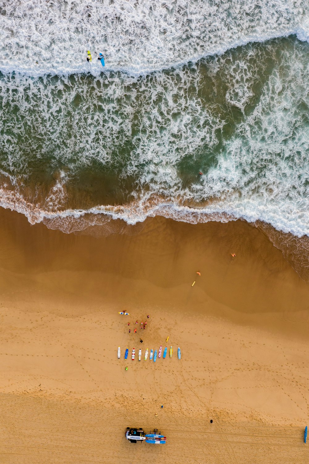 people on beach during daytime