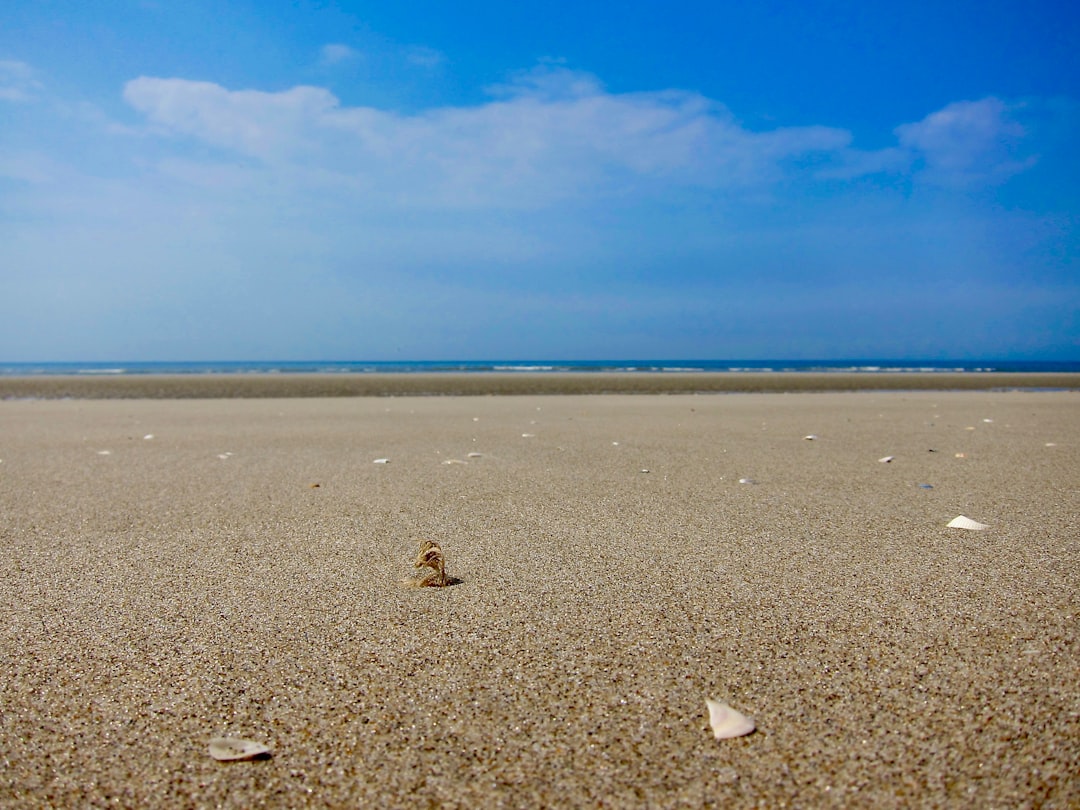 Beach photo spot Le Touquet Escalles