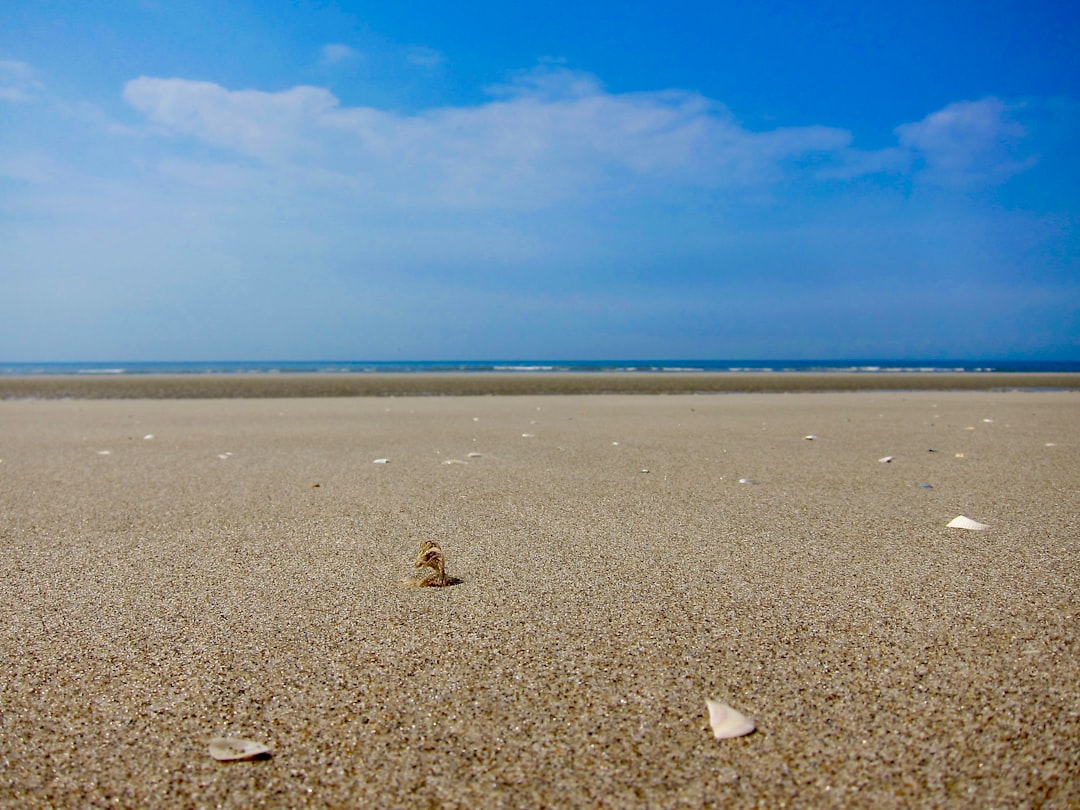 photo of Le Touquet Beach near Baie de Somme