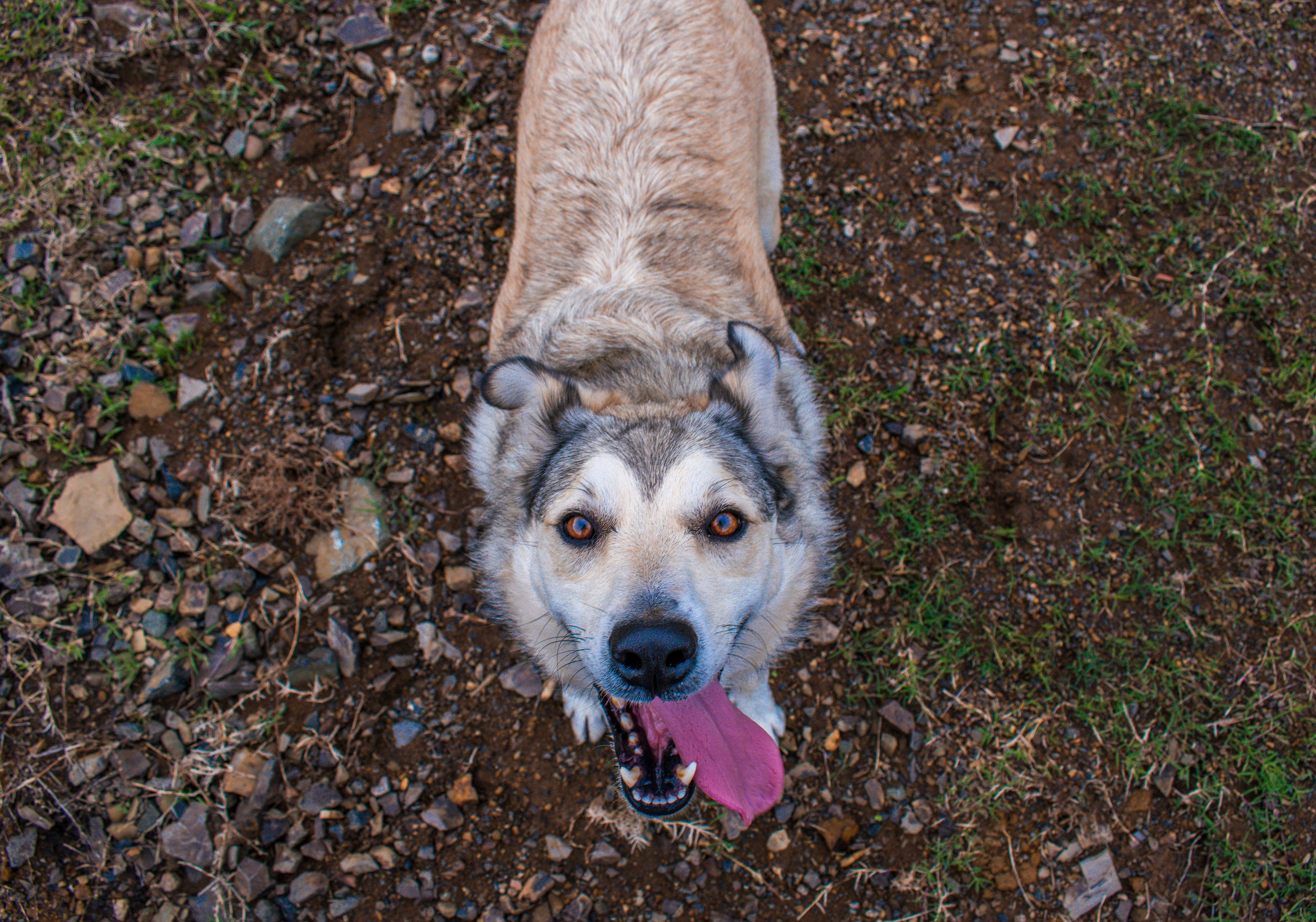 Photo by mateorojas7