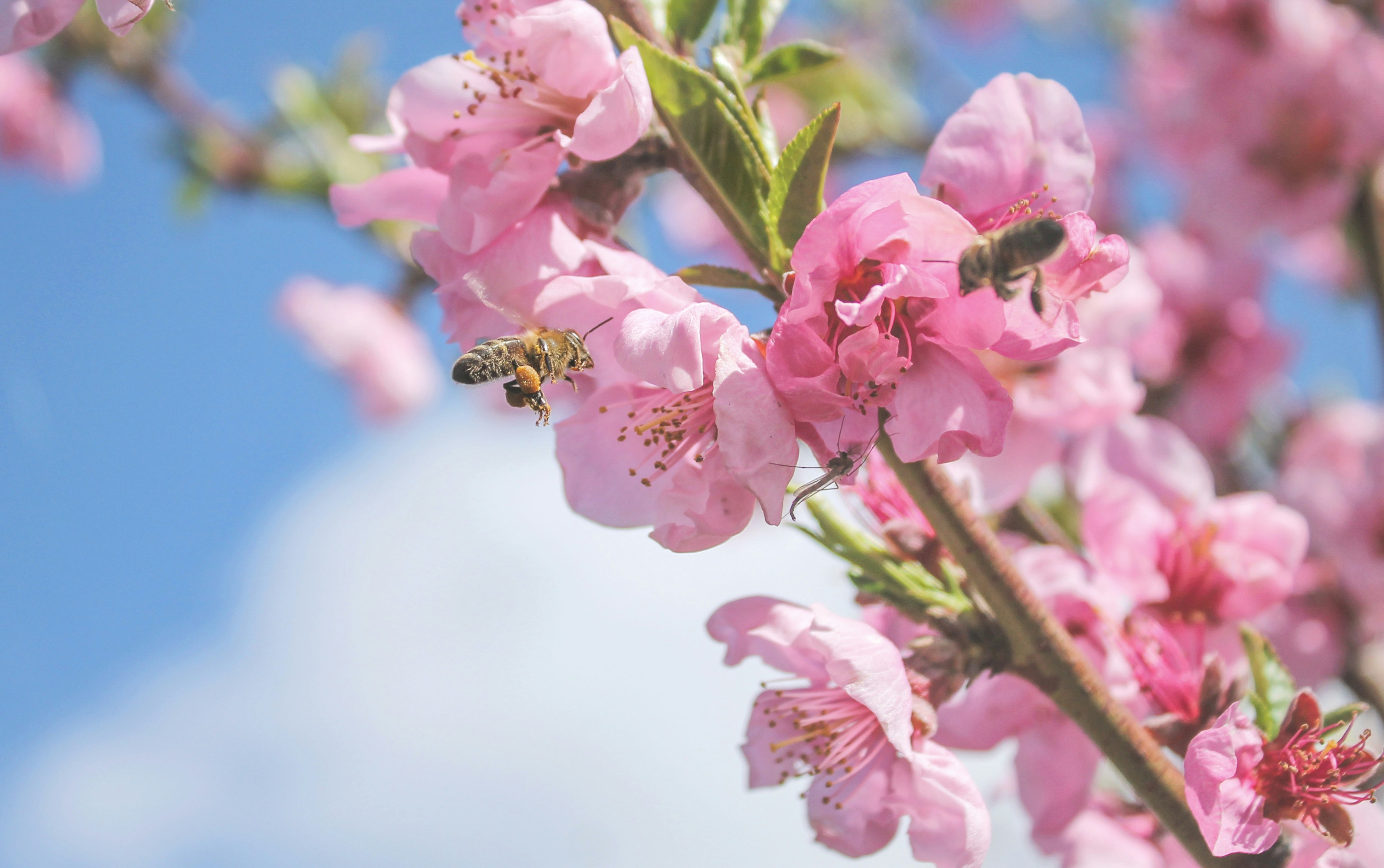 Photo by olgamusiichuck