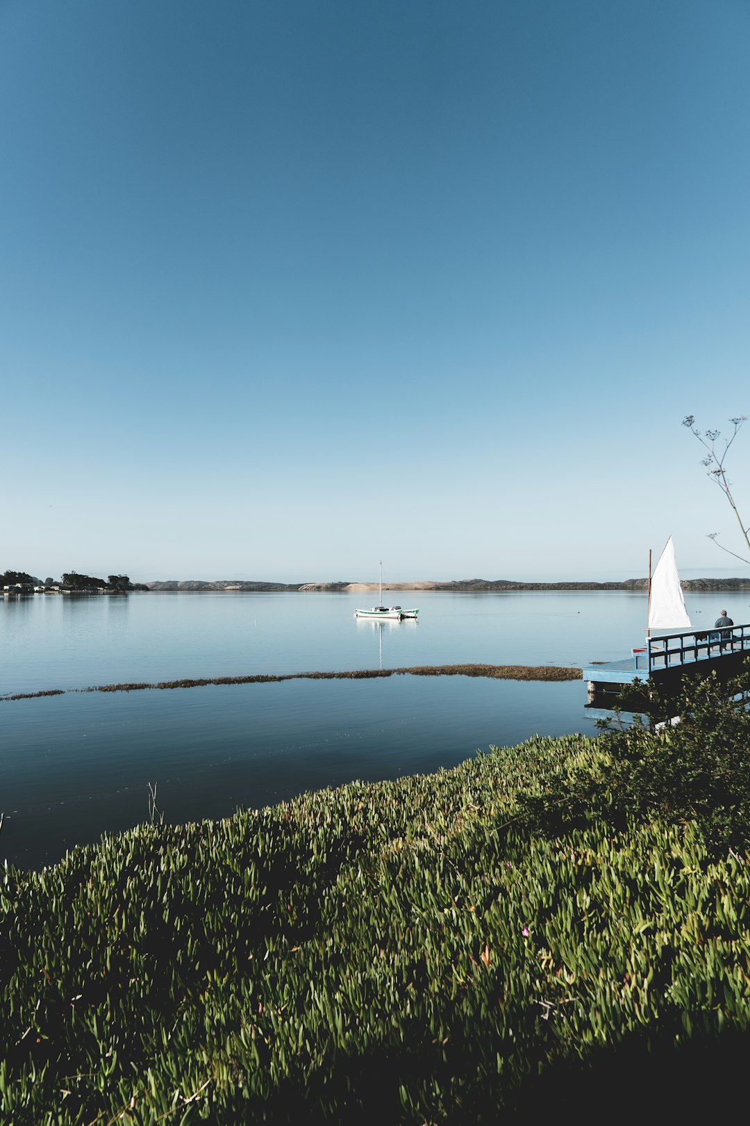 white sailboat on sea under blue sky during daytime