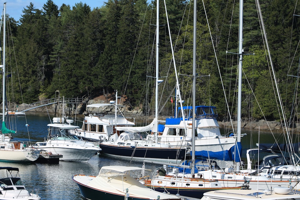 white and brown boat on body of water during daytime