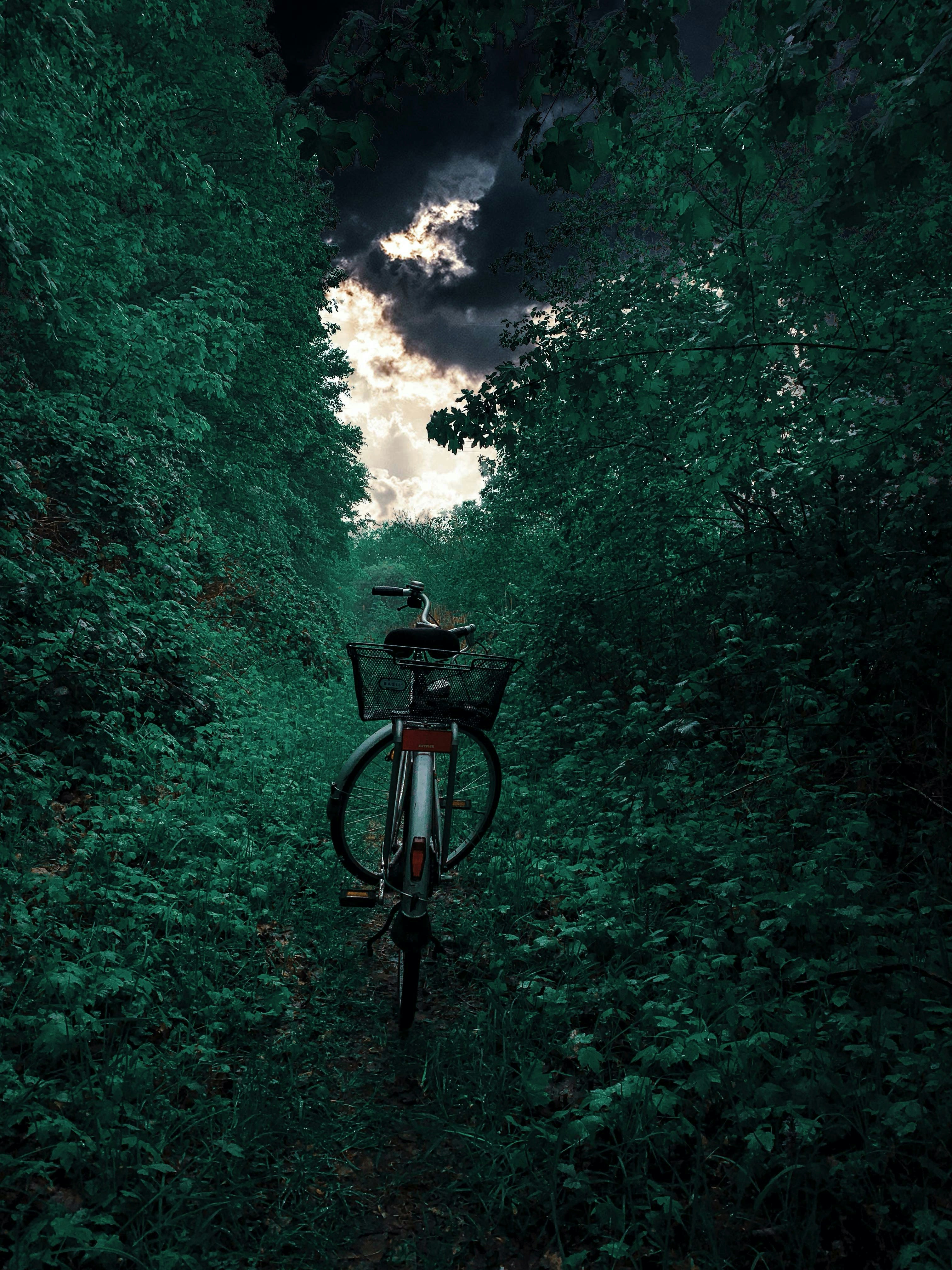 black mountain bike on green trees during daytime