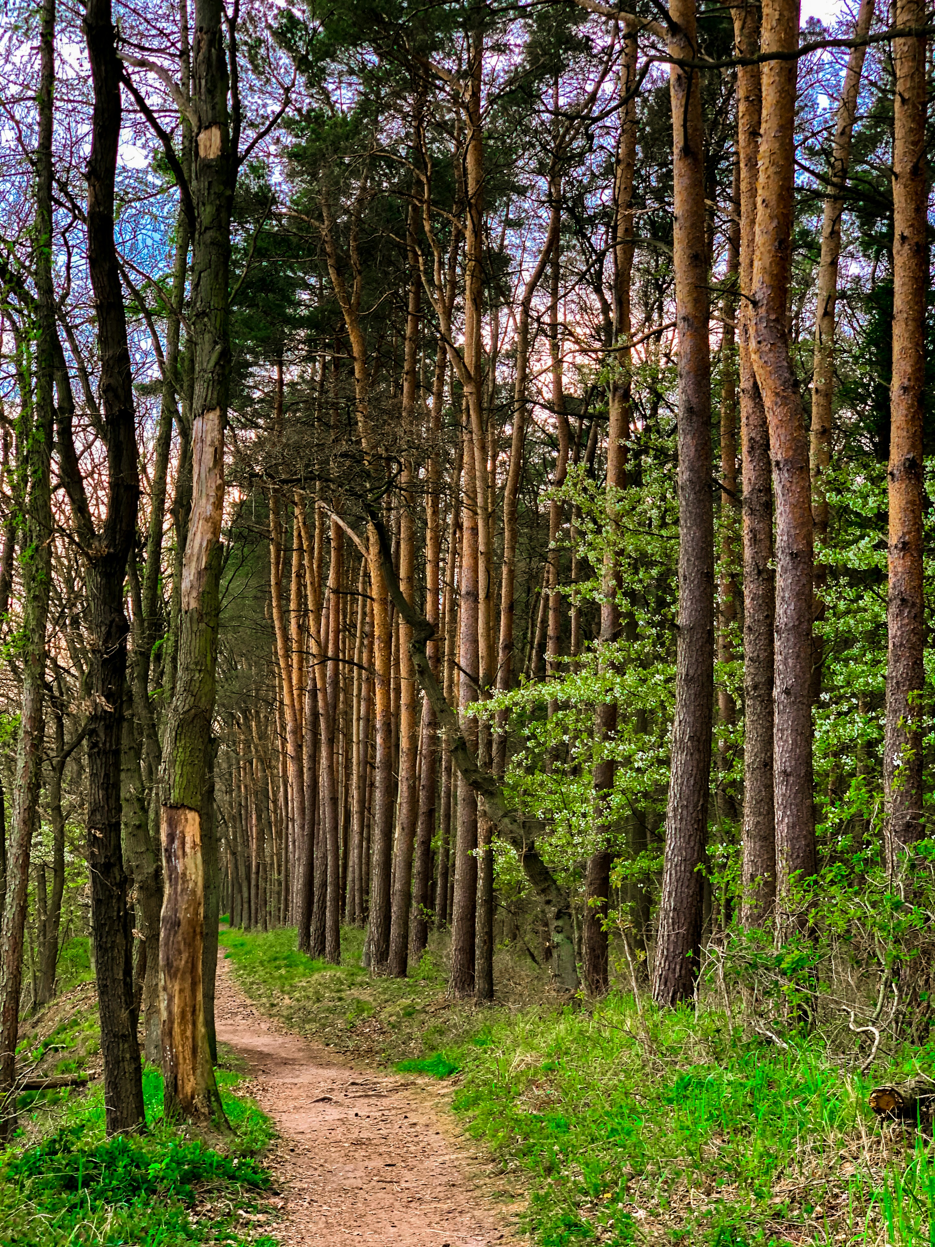 Photo by omarvellous14