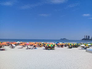 people on beach during daytime