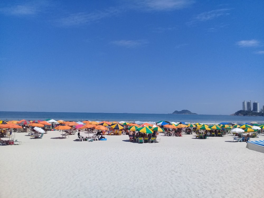 people on beach during daytime