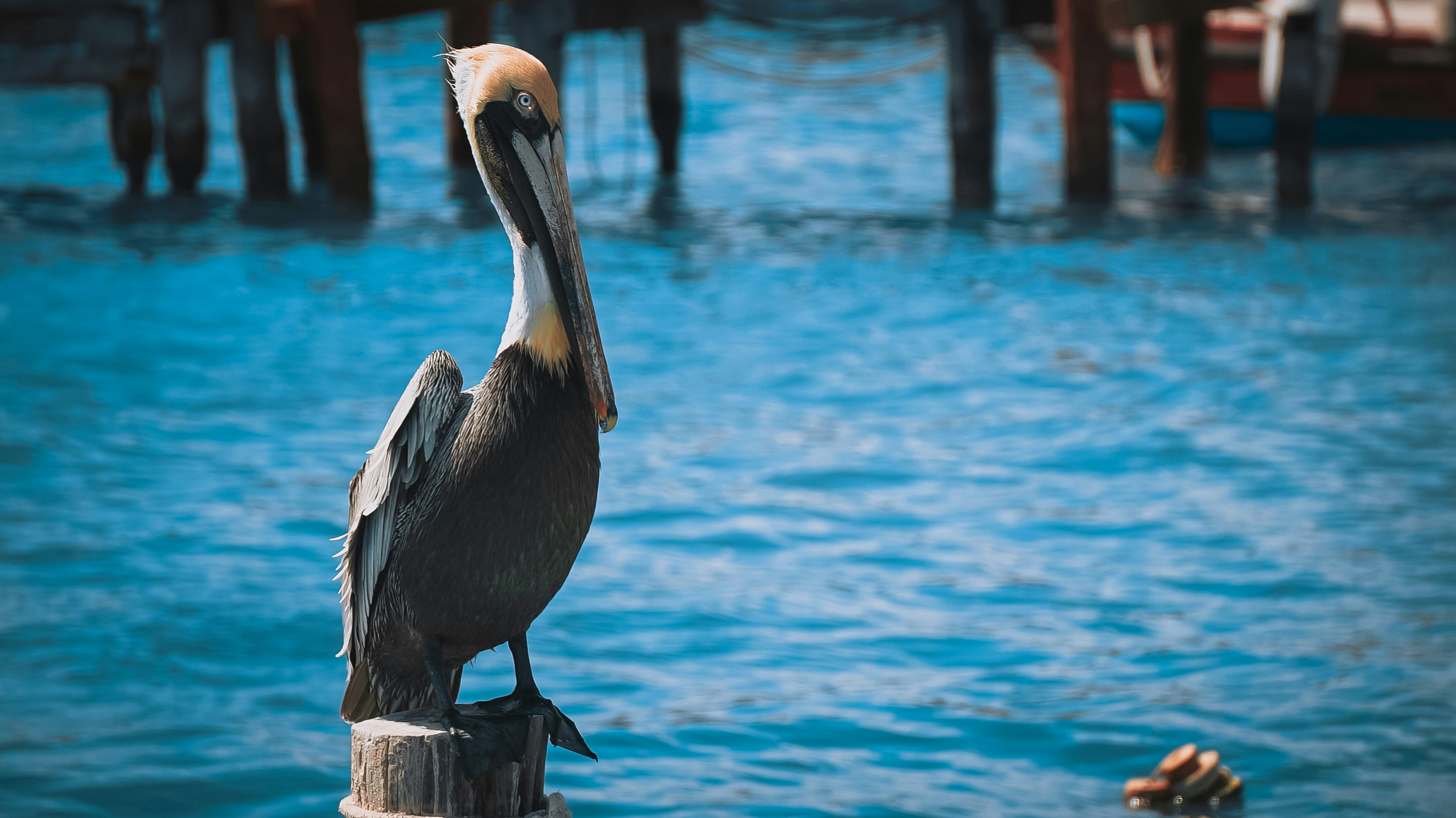 Photo by ediegosanchez