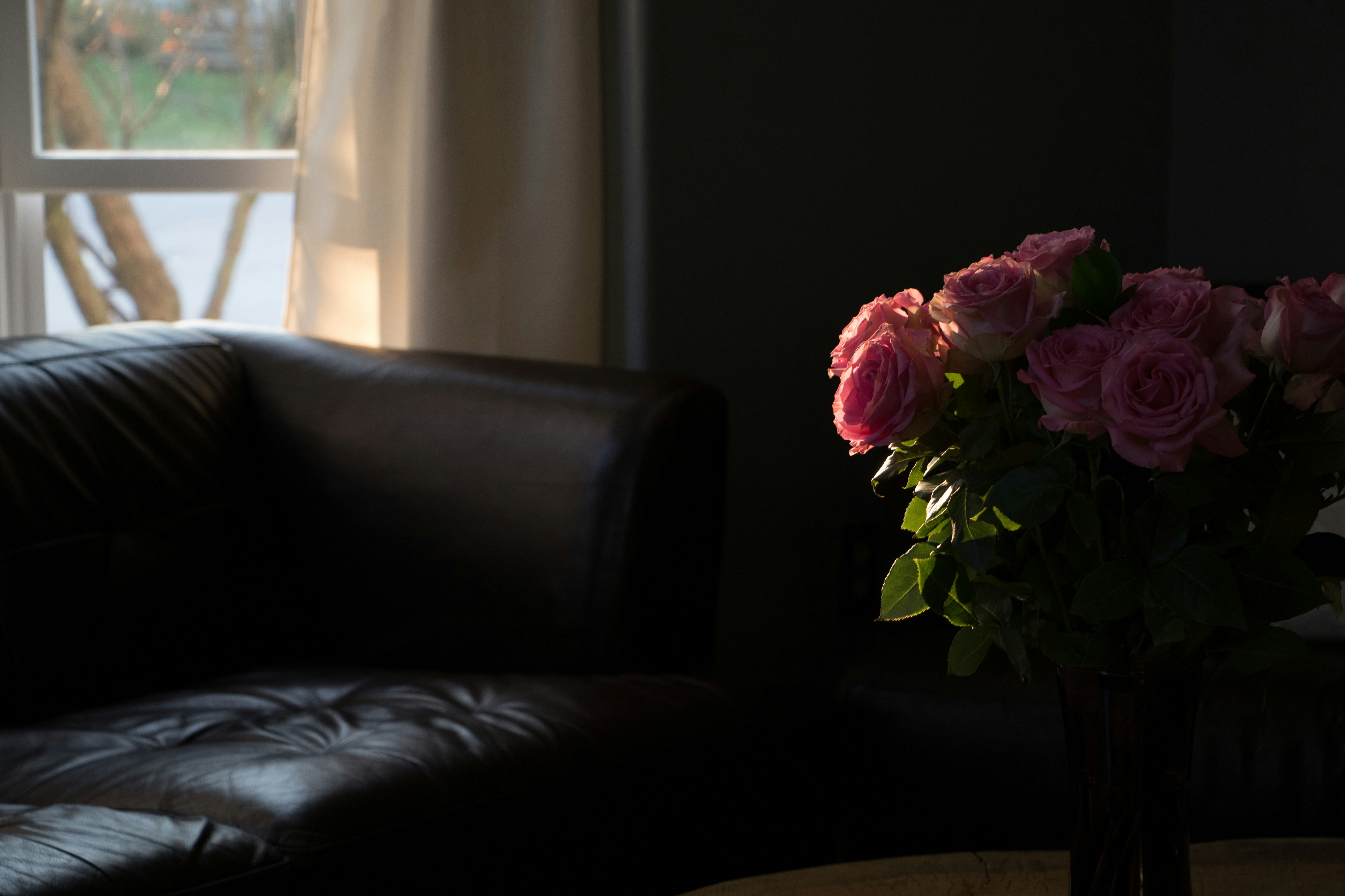 Pink roses on black sofa photo – Free Flower Image on Unsplash