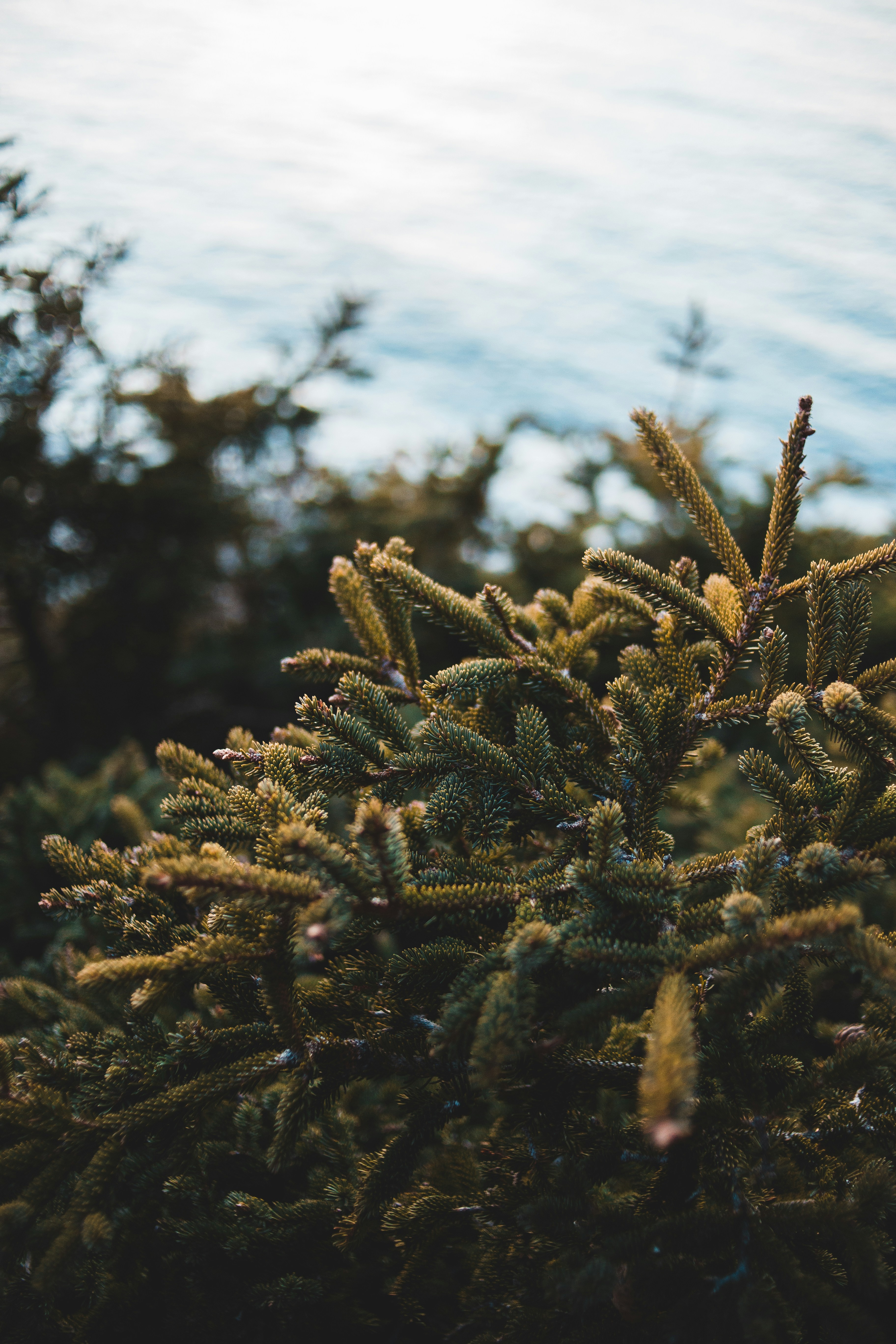 Photo by introspectivedsgn