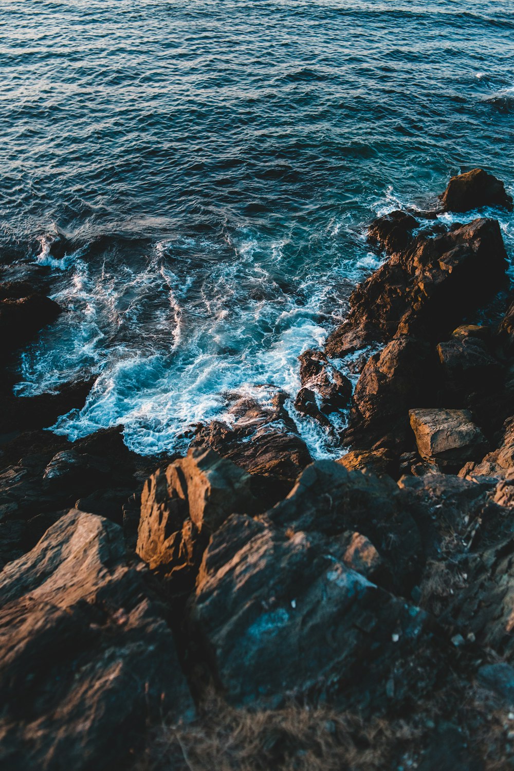 brown rocky shore during daytime