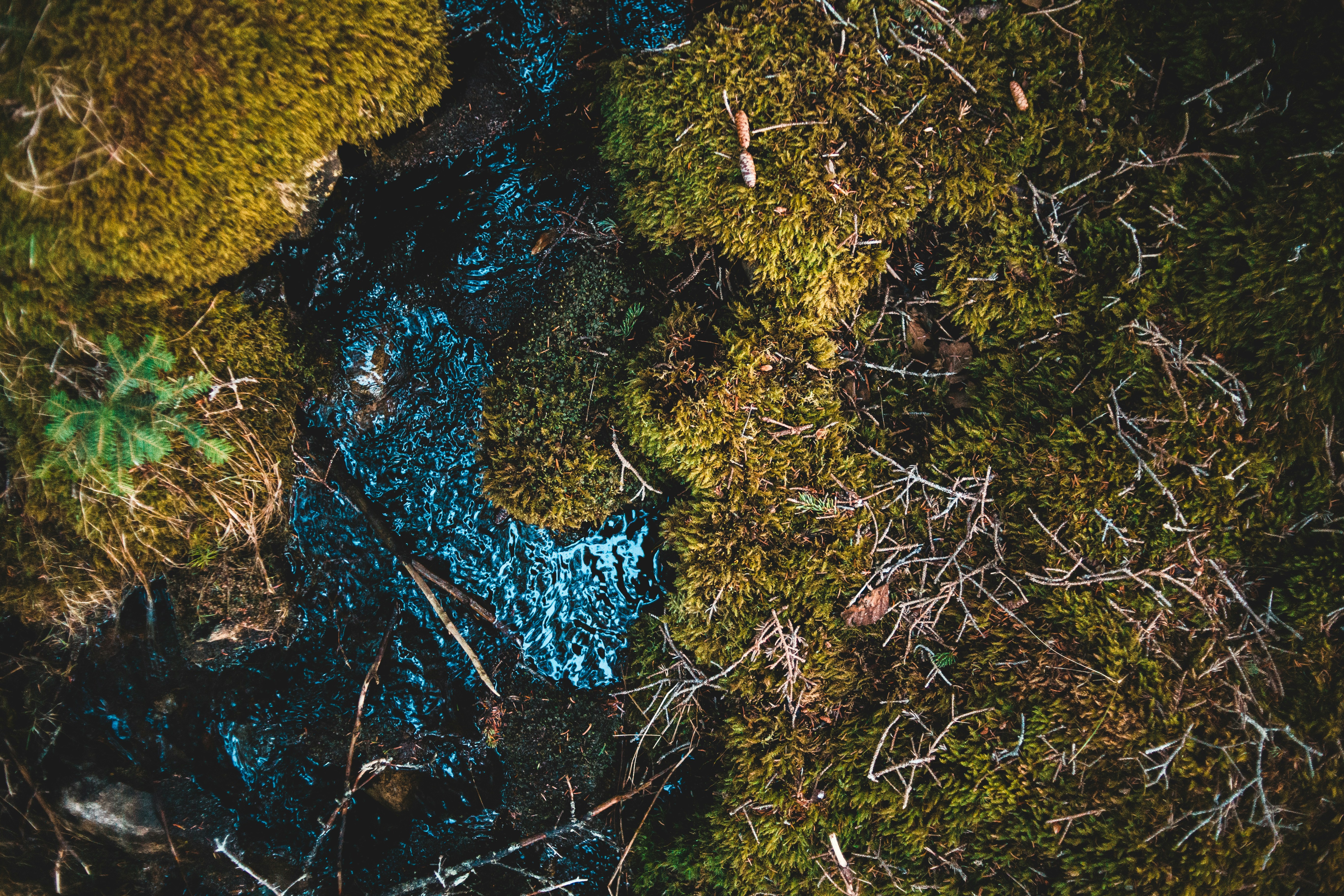 Photo by introspectivedsgn