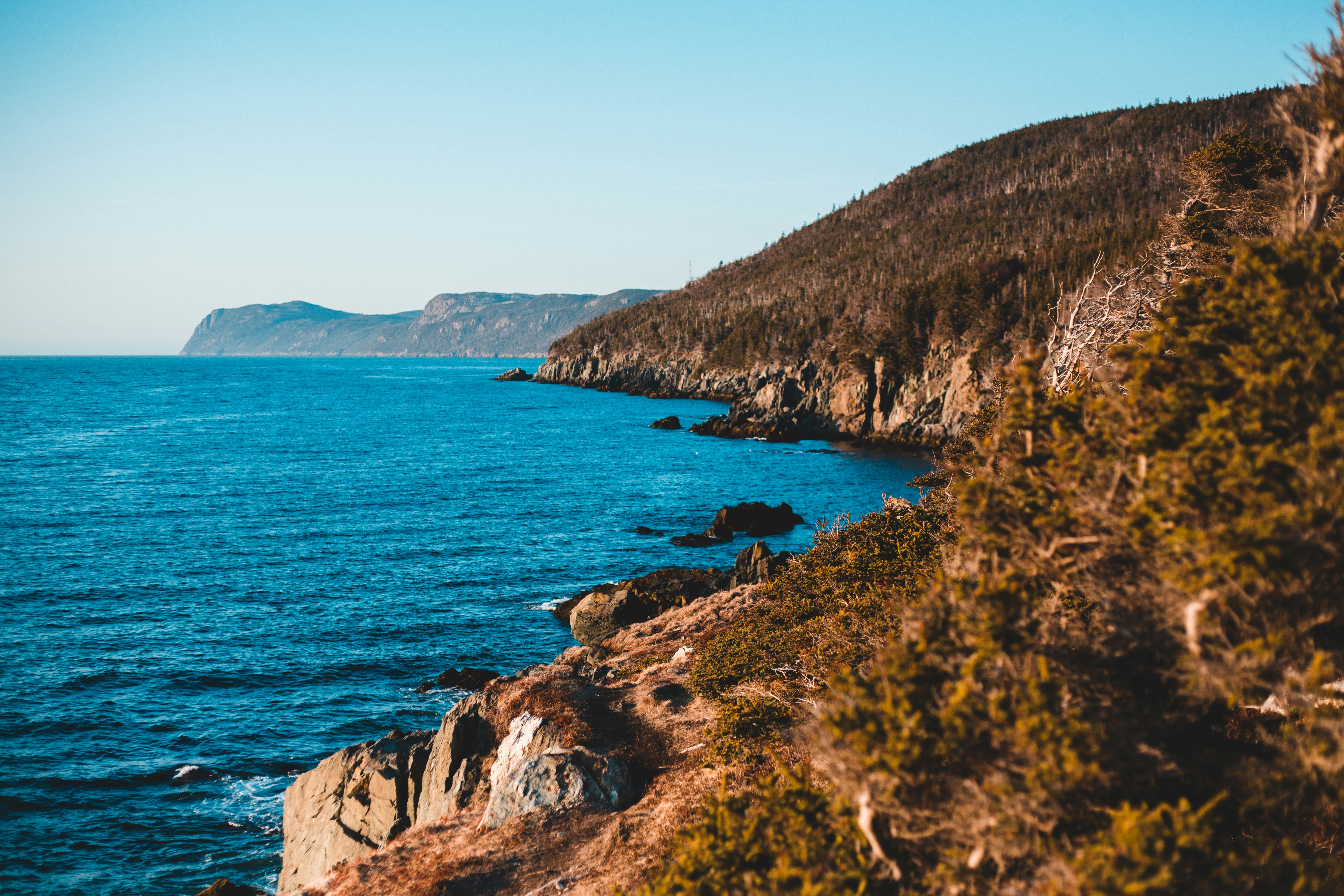 Photo by introspectivedsgn