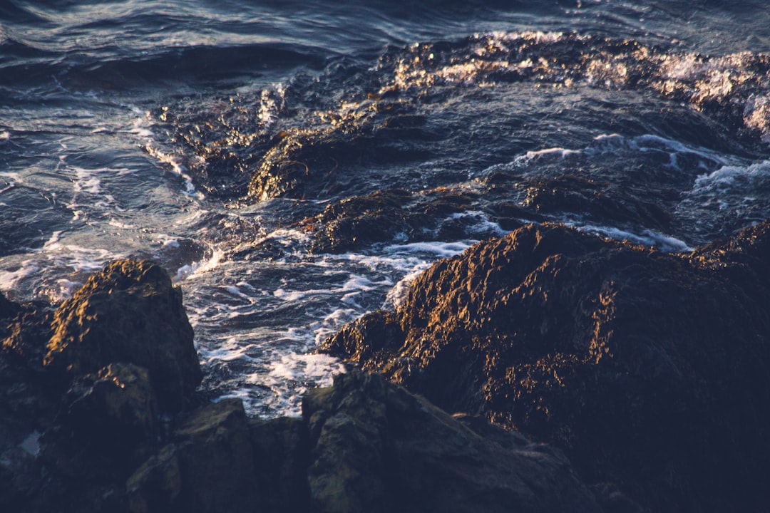 brown and black rock formation beside body of water during daytime