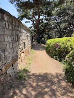 A narrow dirt path bordered by vibrant wildflowers and tall shade trees in the estate.