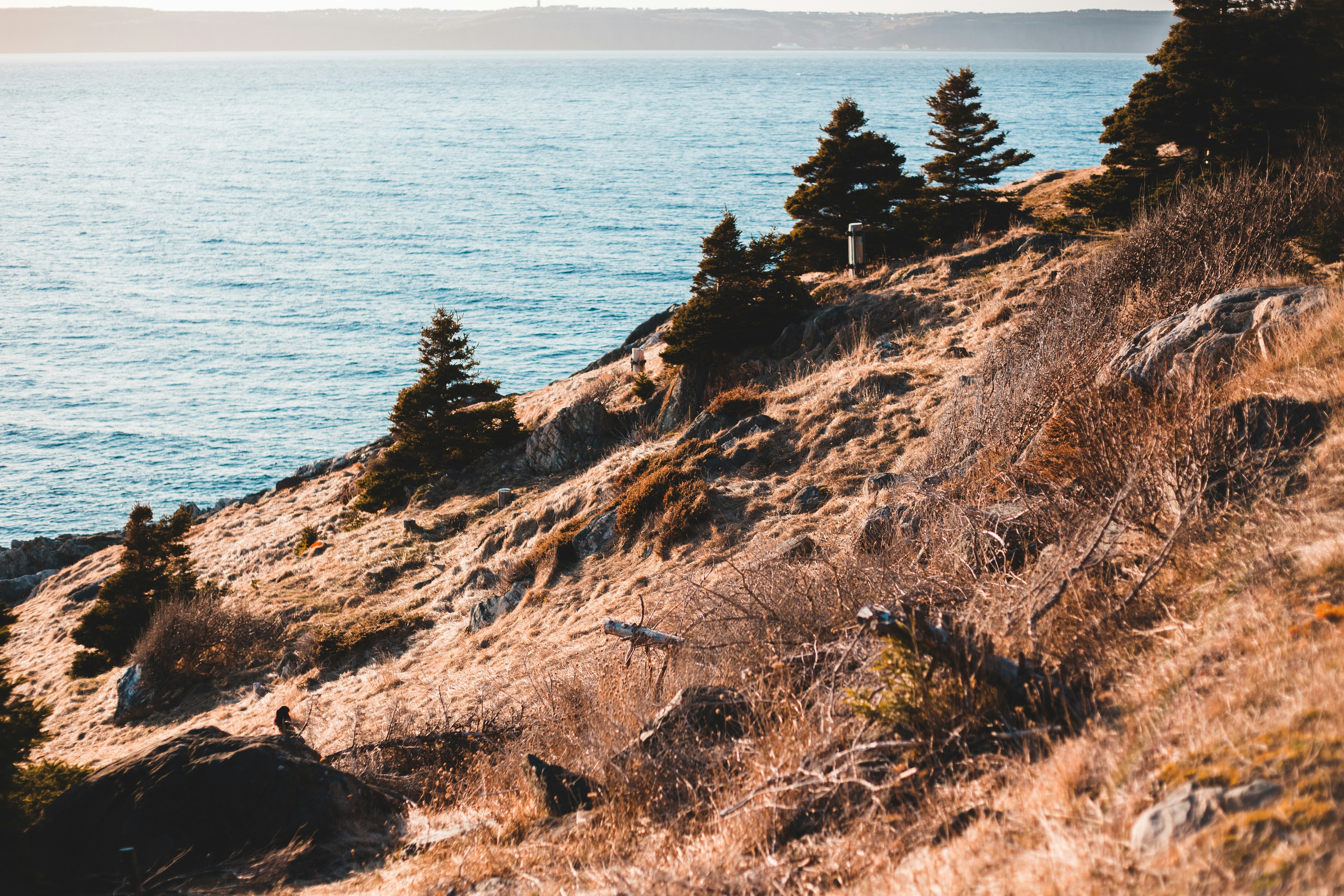 Photo by introspectivedsgn