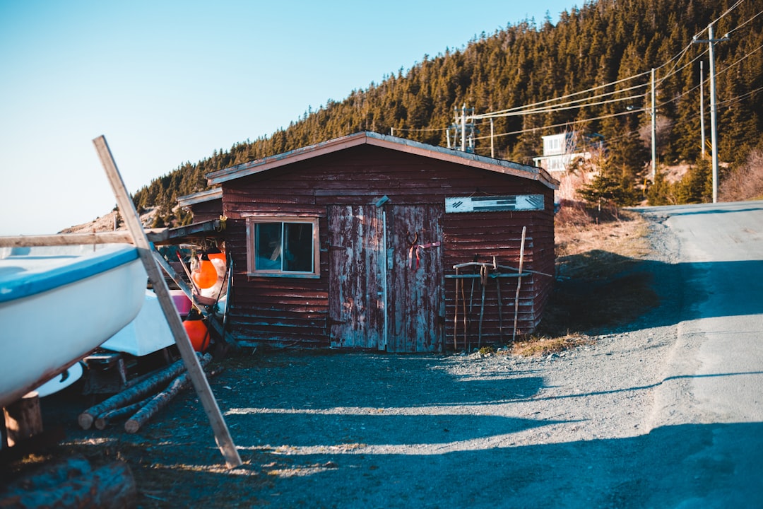 brown wooden house near green trees during daytime