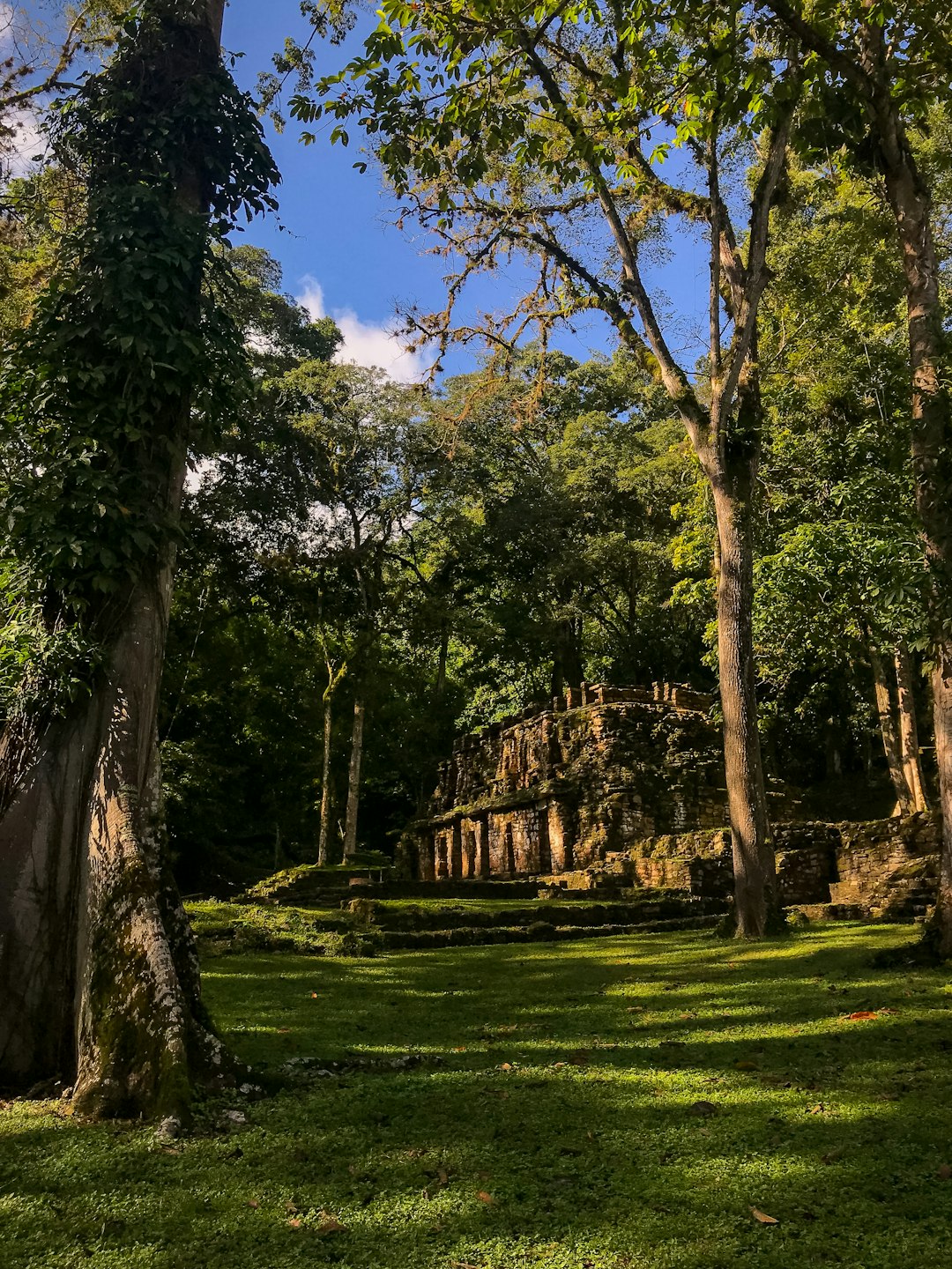 travelers stories about Nature reserve in Yaxchilan, Mexico
