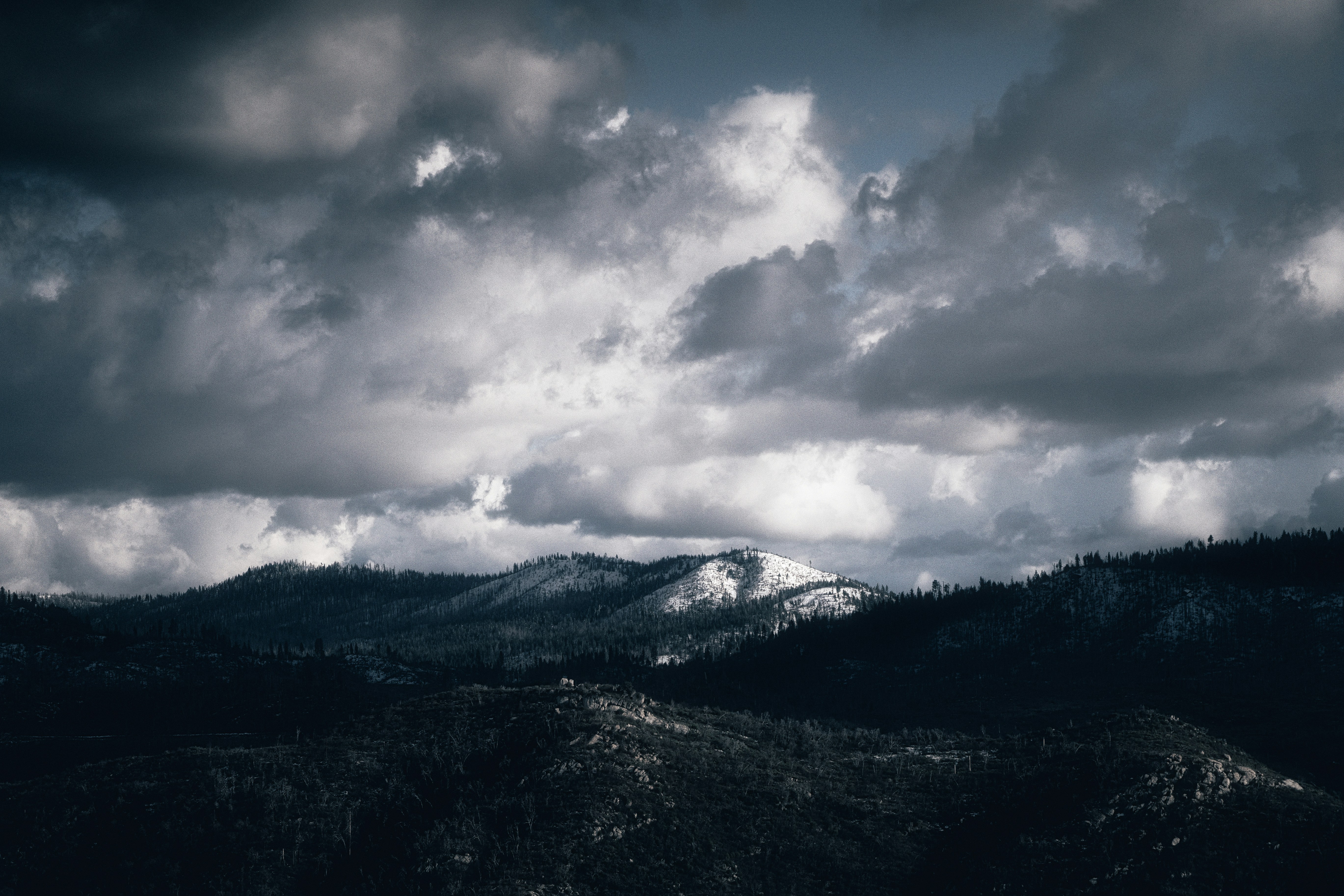 Photo by mischievous_penguins