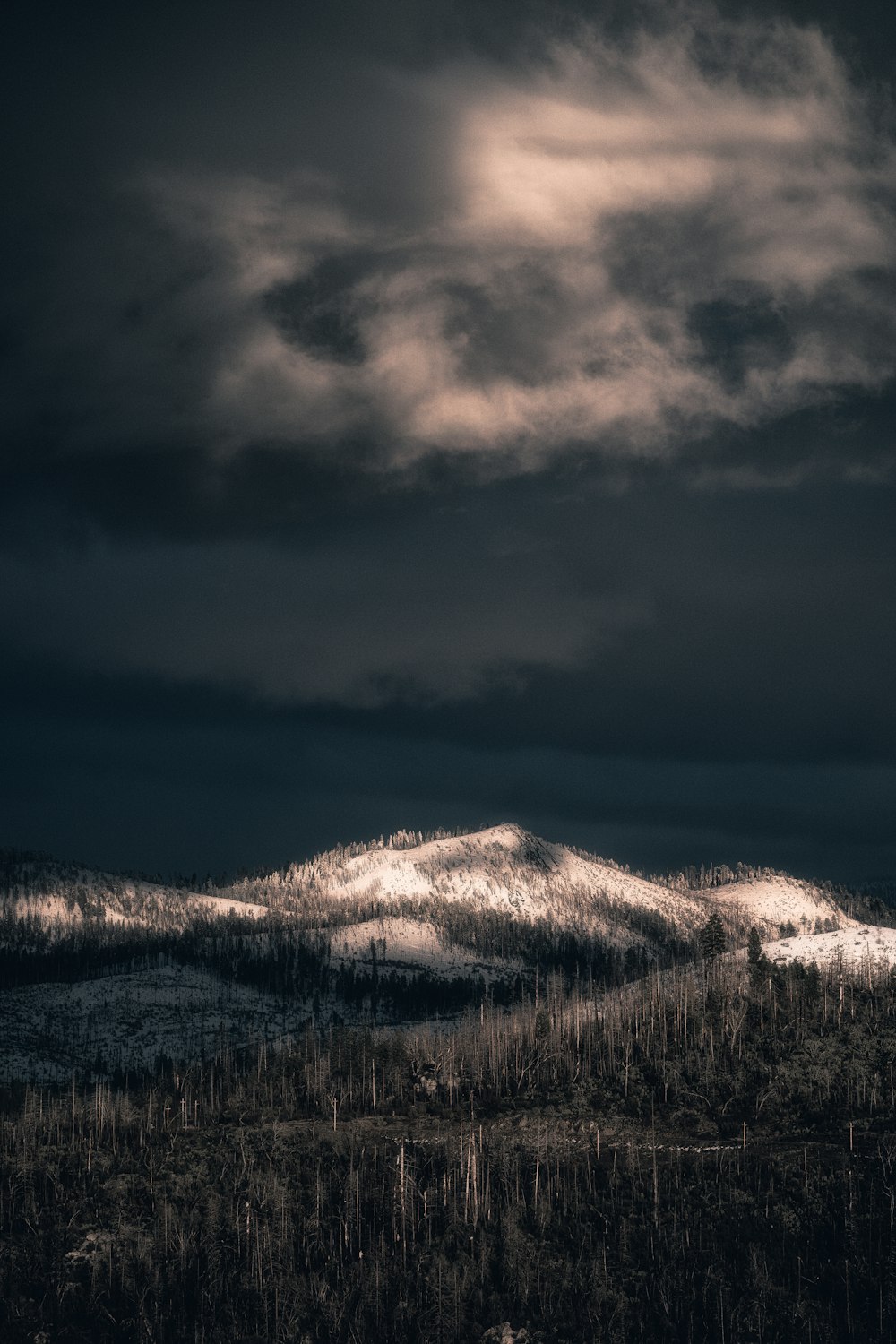 brown grass field under dark clouds