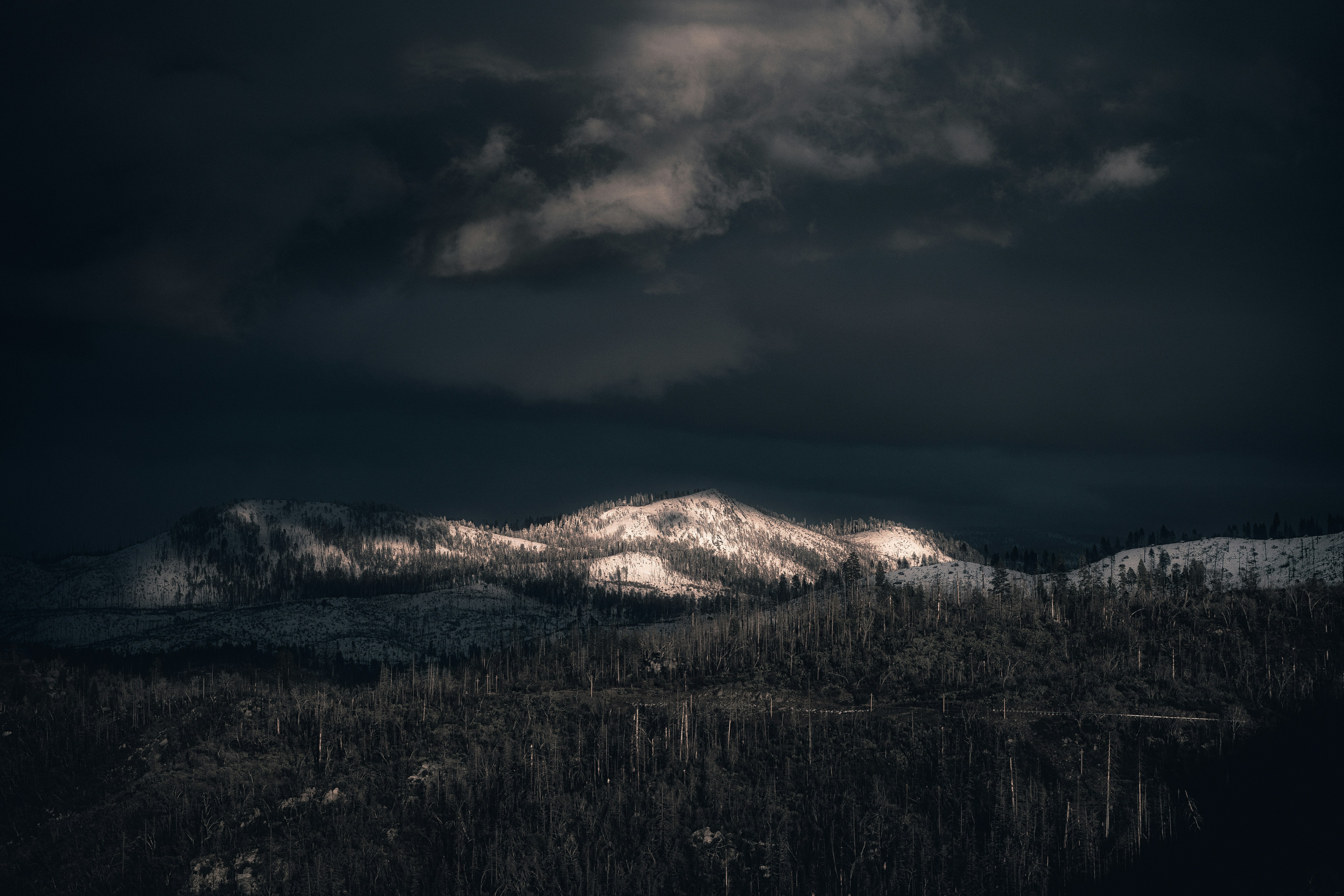 Photo by mischievous_penguins