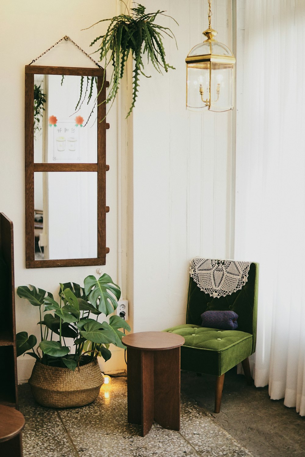 green plant on brown wooden table