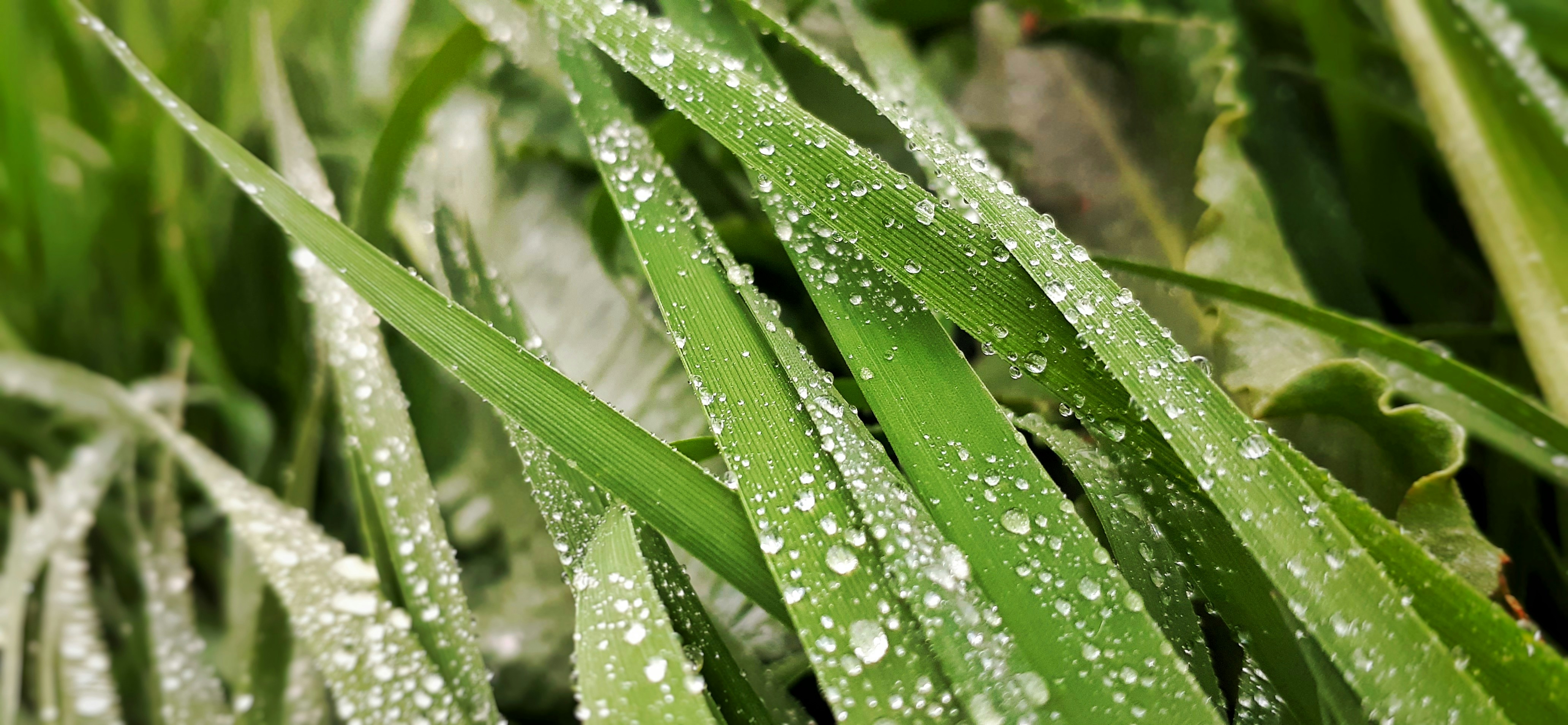 Photo by alirahmani_prog