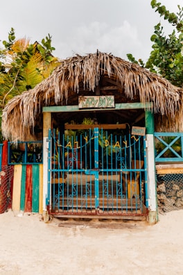 brown wooden house with blue wooden door