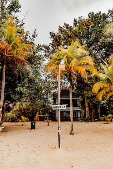A tropical beach scene features lush palm trees with yellow and green fronds surrounding a wooden sign labeled 'Nirvana'. A small building or cabin is partially visible in the background, set against dense foliage. The sandy terrain implies a peaceful, island vibe.