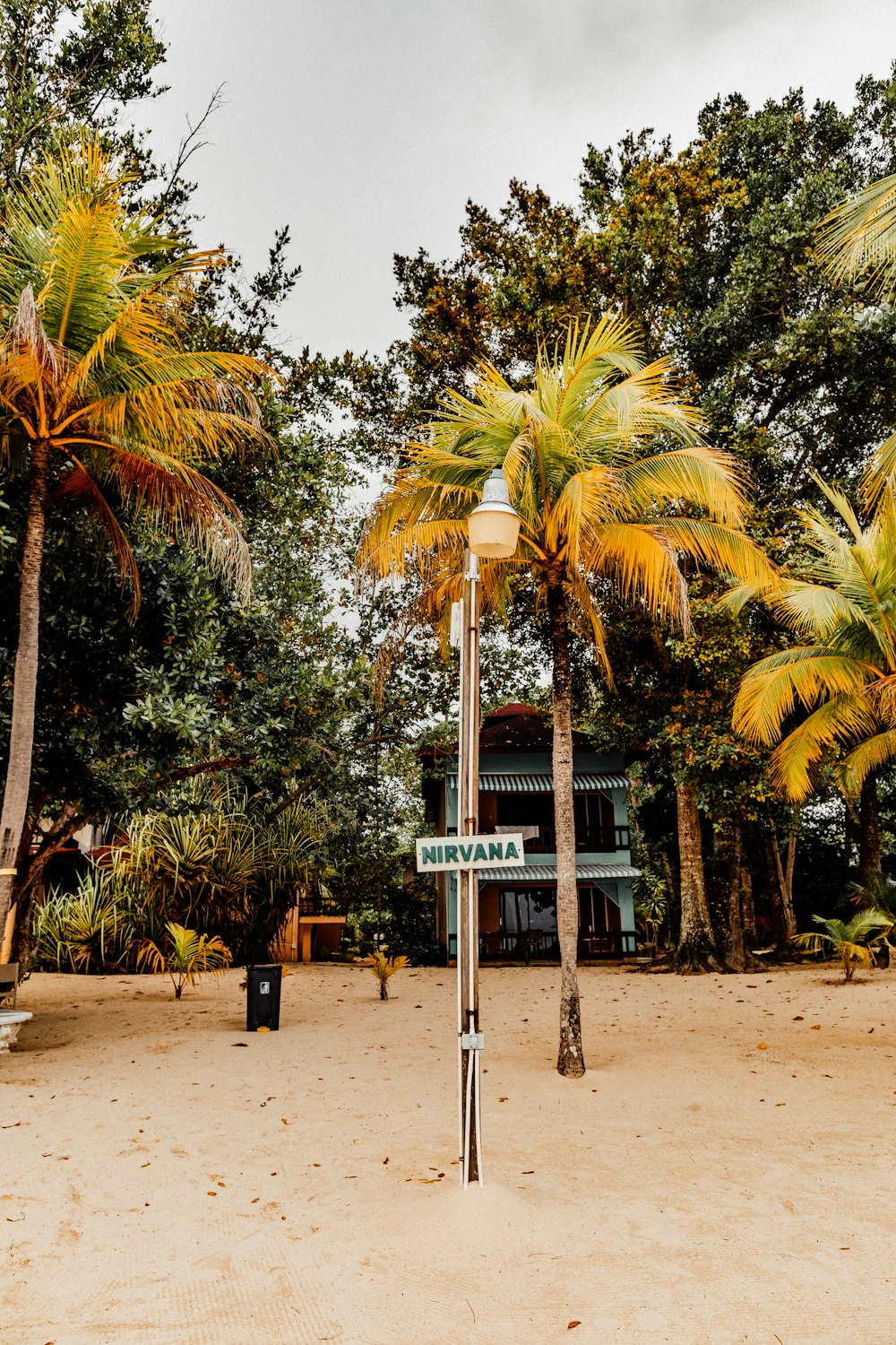 blue wooden signage near palm trees during daytime