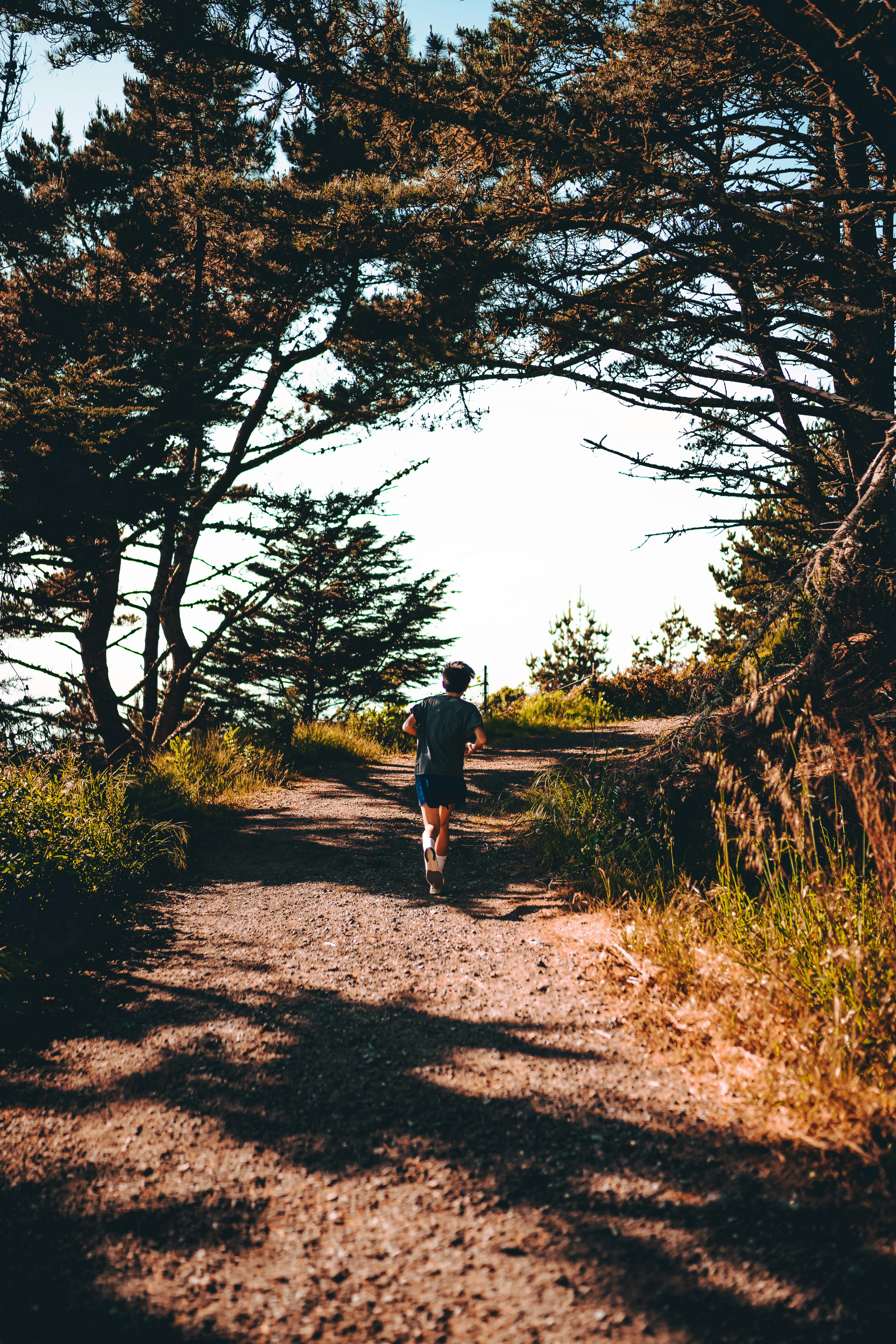 man in black t-shirt and black shorts walking on dirt road between trees during daytime