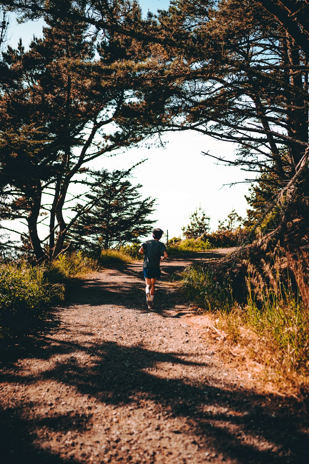 man in black t-shirt and black shorts walking on dirt road between trees during daytime