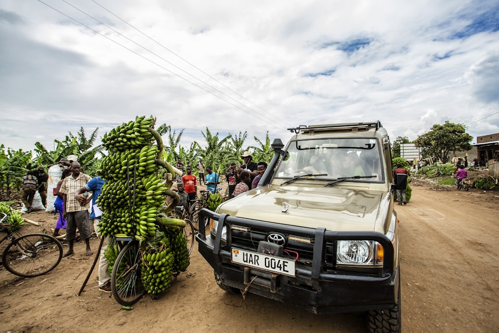 black jeep wrangler with fruits on top