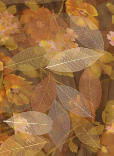 Elegant autumn leaves delicately scattered over a textured fine paper background.
