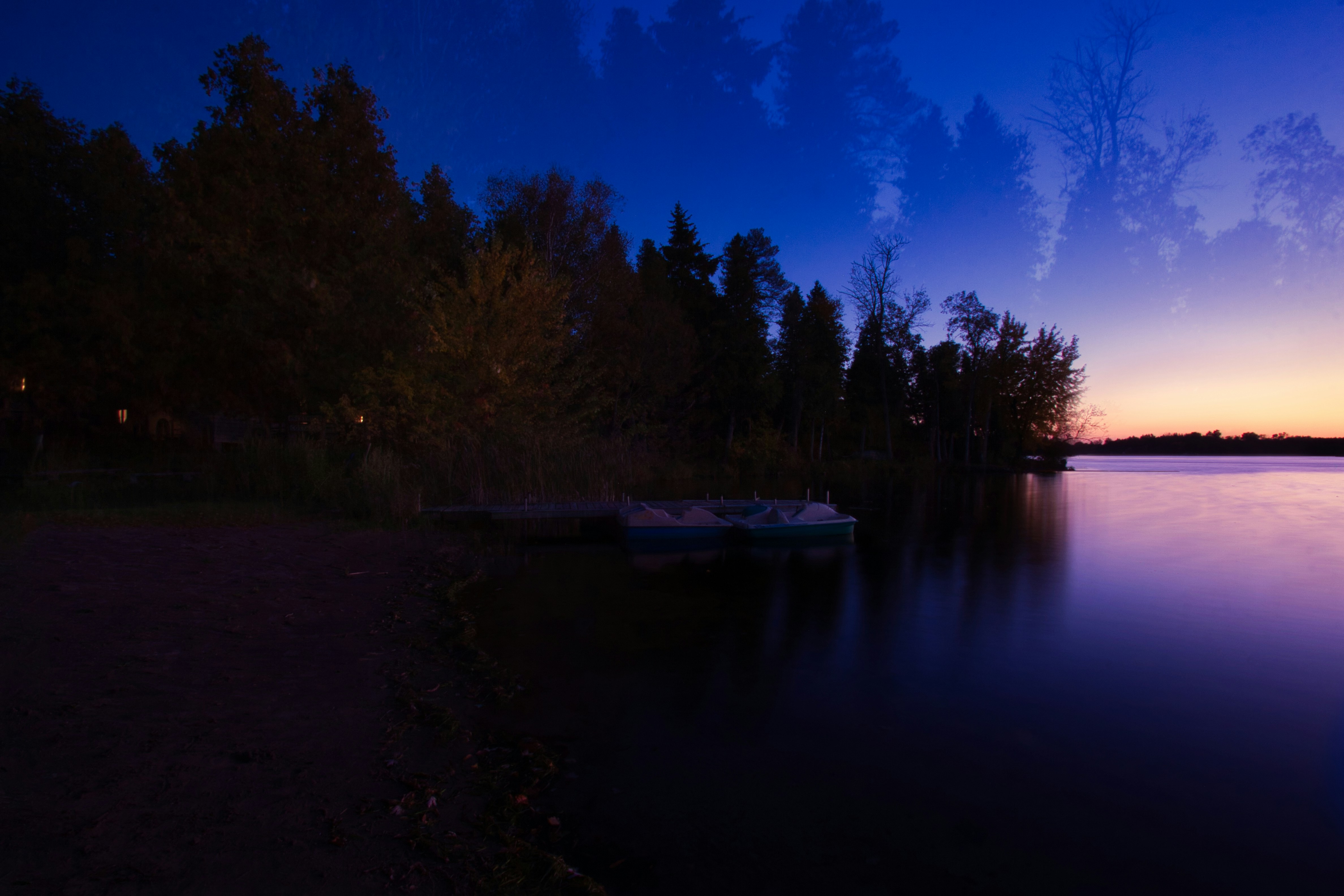green trees beside river during night time