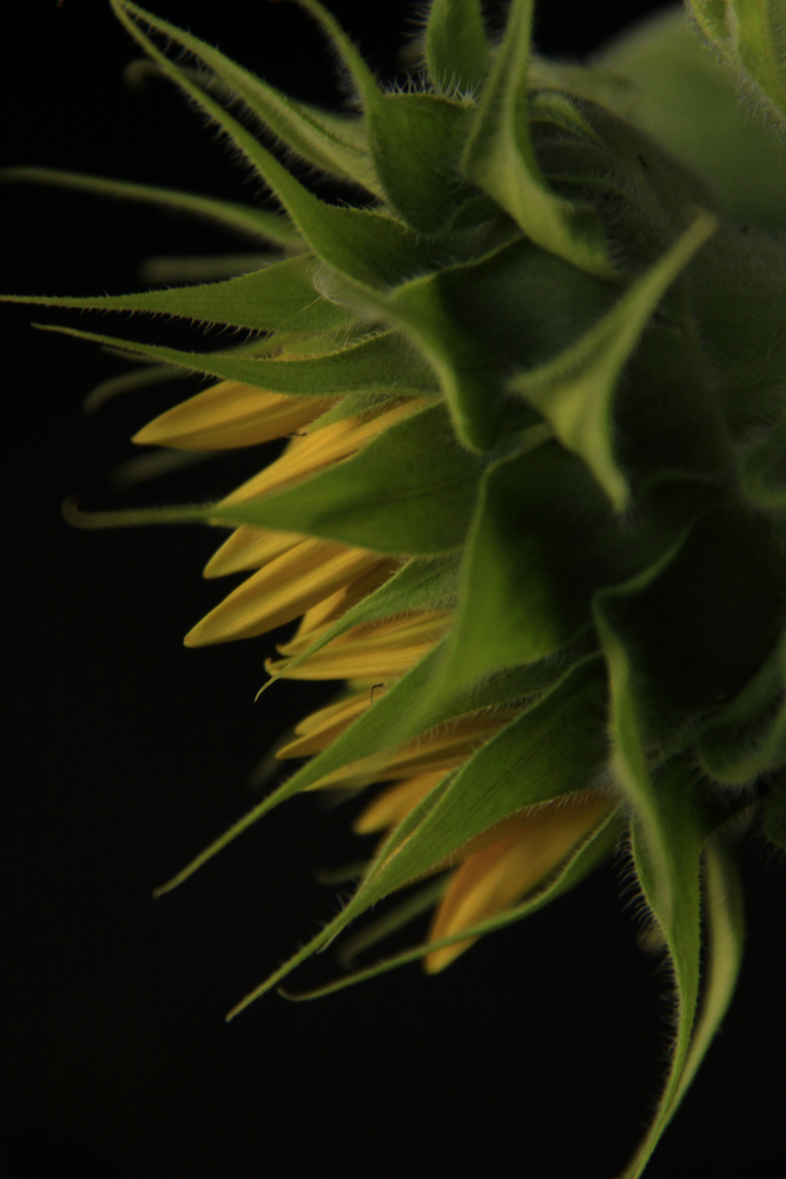 Photo by jl_hair_and_graphix