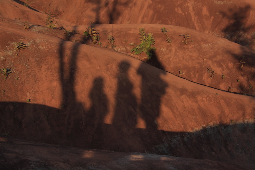 brown rock formation with green grass during daytime