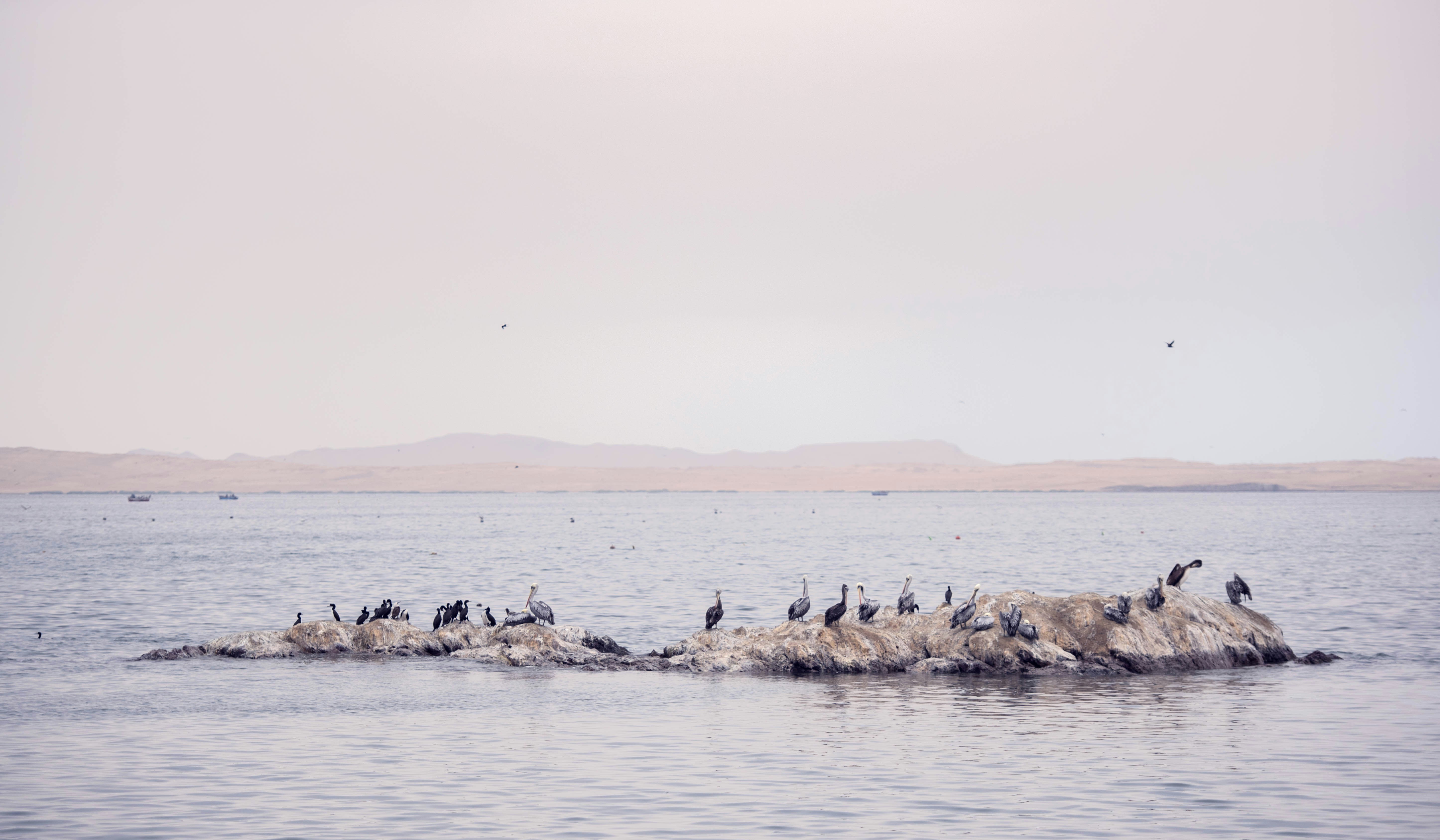 Photo by jairgarciaferro