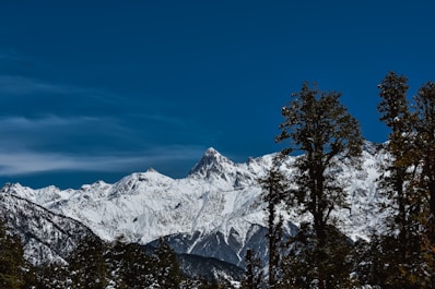 green trees near snow covered mountain during daytime