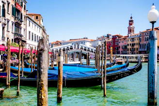 Colorful trajineras floating on Xochimilco canals surrounded by lush greenery under a bright sky.