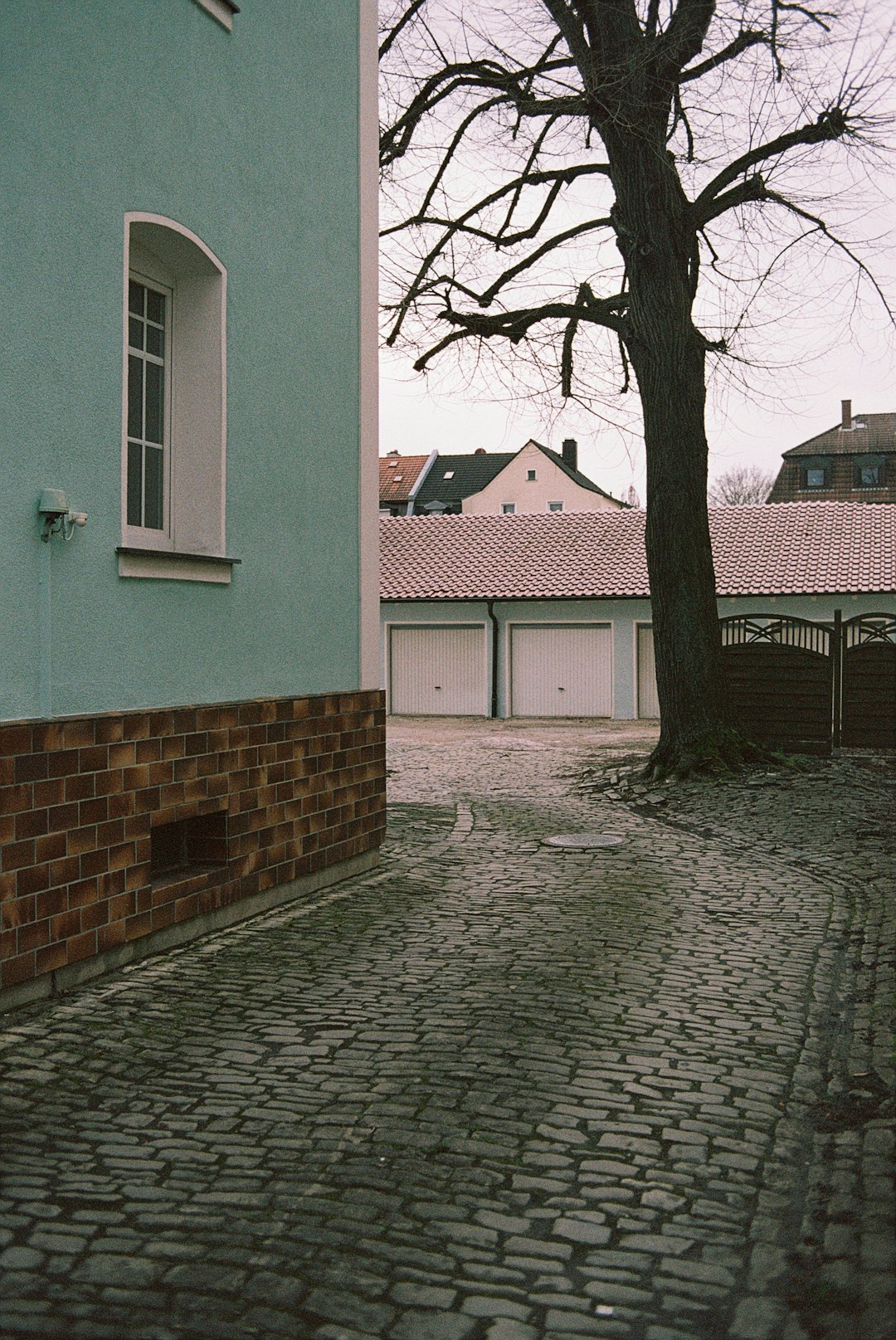 brown bare tree beside white and brown concrete building during daytime