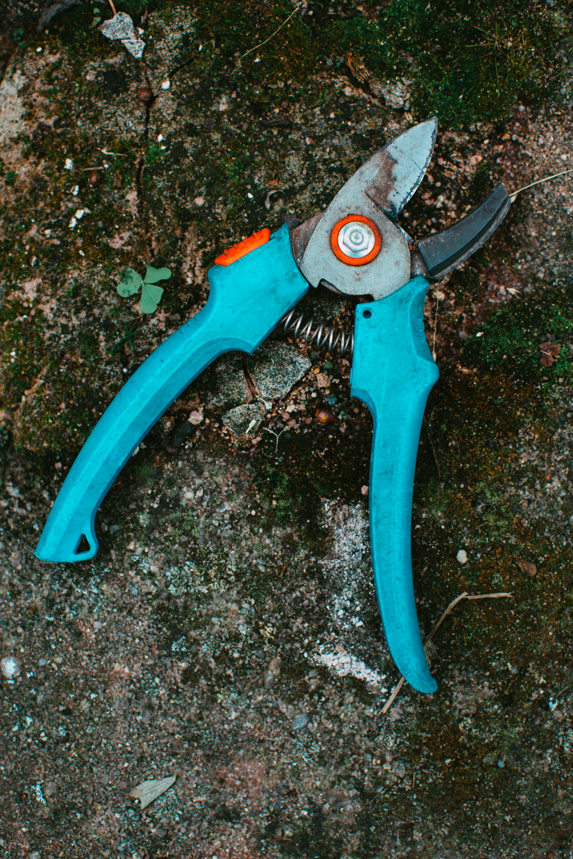 Secateurs