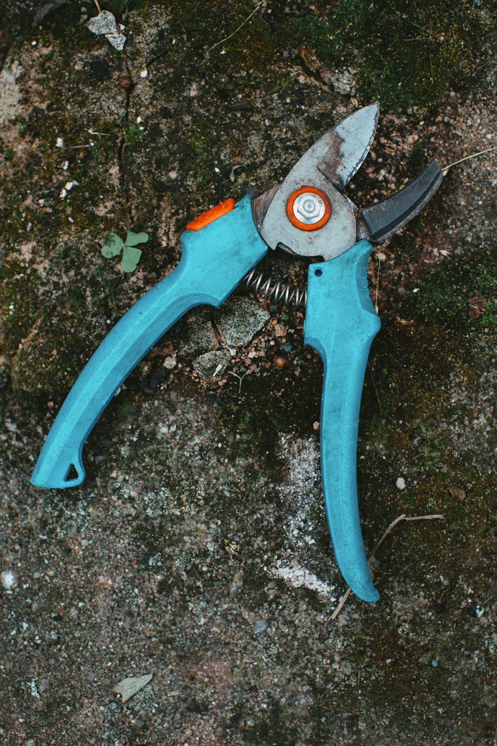 Blue and silver pliers on black and gray surface photo – Free Erlangen  Image on Unsplash