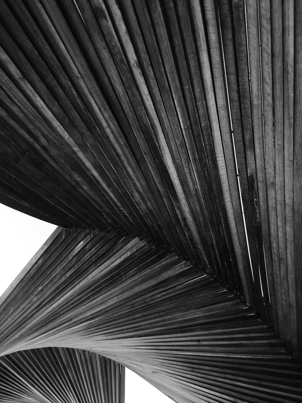 grayscale photo of spiral stairs