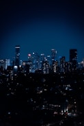 city skyline during night time