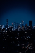 city skyline during night time